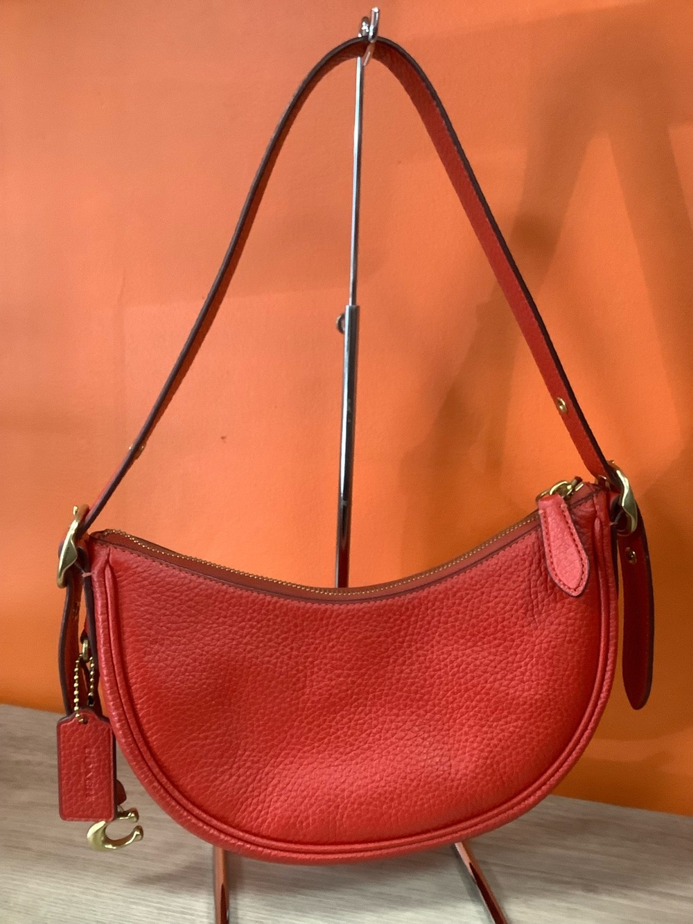 Coach Luna Leather Bag